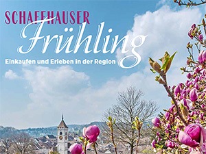 Frühlingsbeilage 2020 SHN Medienbericht Pro City Schaffhausen